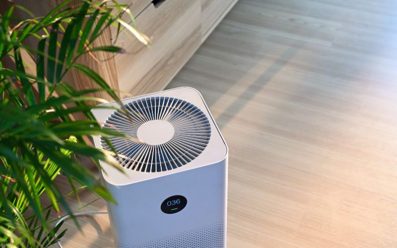 air purifies