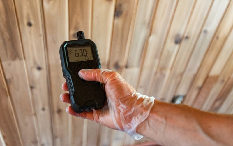 mold impact indoor air quality