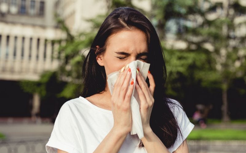 white mold allergies