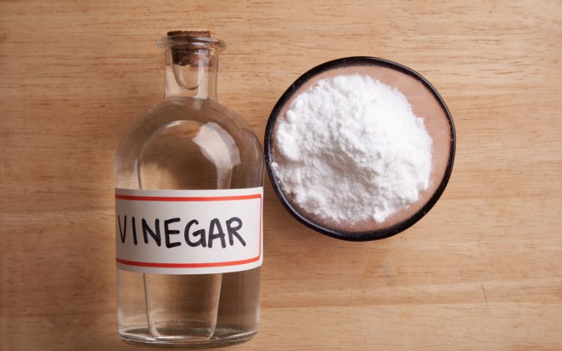 vinegar for mold removal