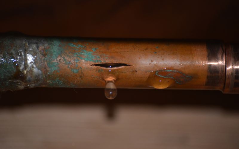 cause of mold