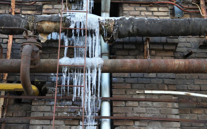 pipe burst and mold problems