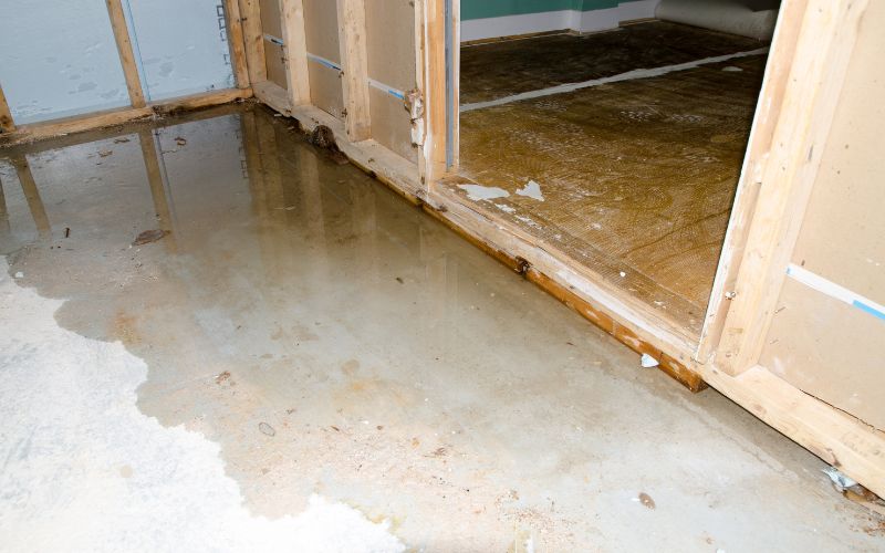 risks of mold