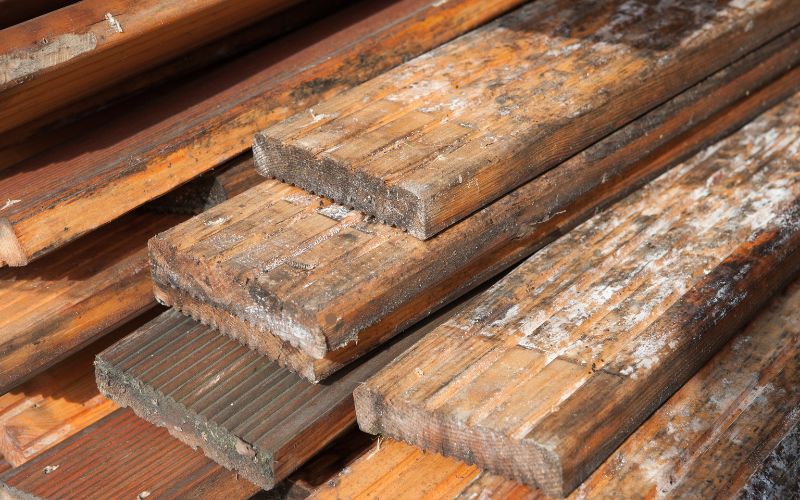 mold on wood
