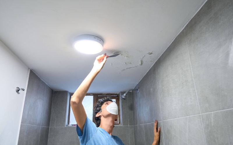 water restoration and mold prevention