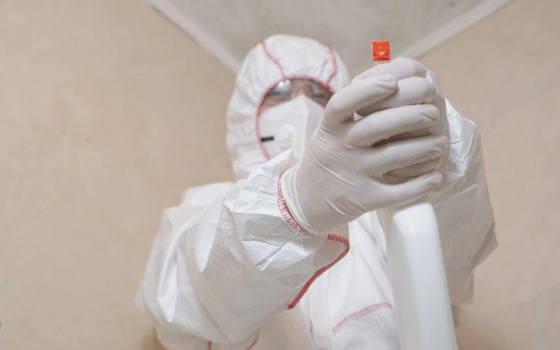 mold test kits