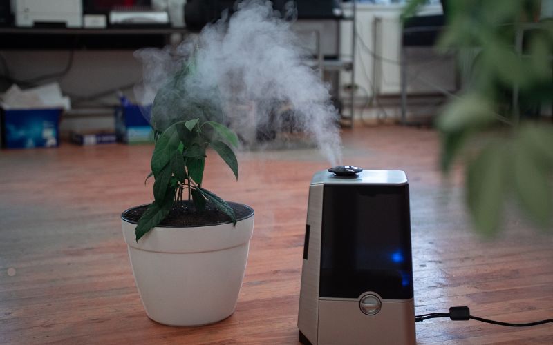 Air Purifiers vs. Indoor Air Quality Services