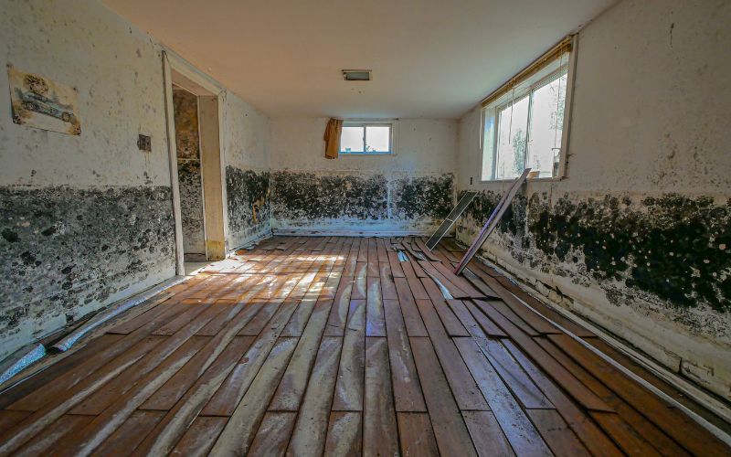 mold