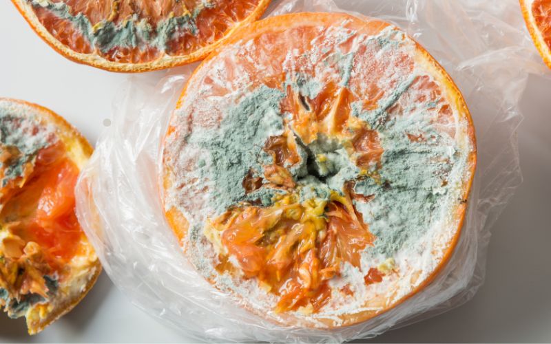 orange mold on food
