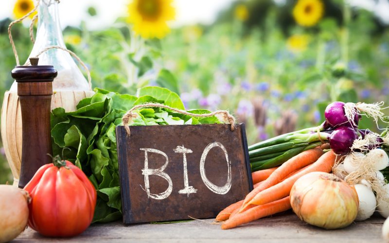 Ist Bio wirklich die beste Option? Vor- und Nachteile von Bio