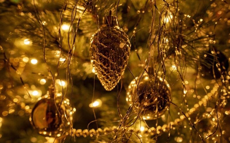 Weihnachten als Veganer