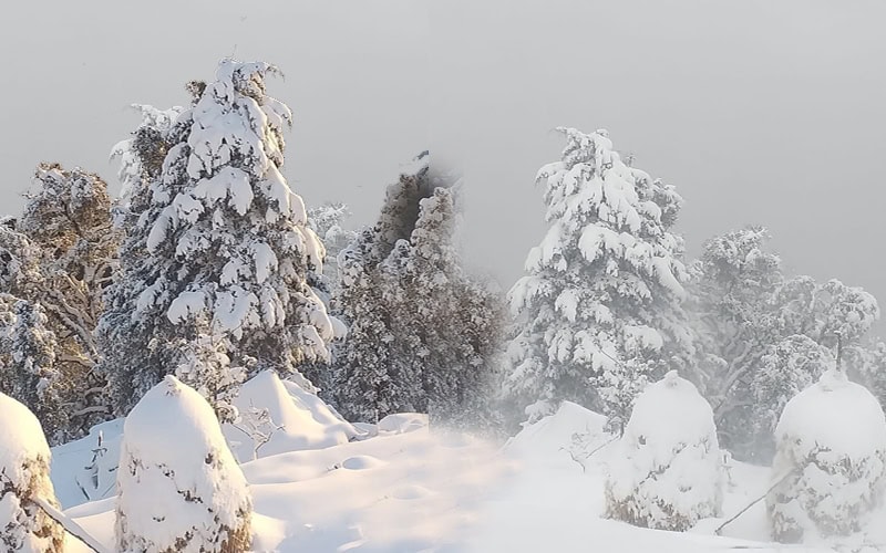 Snowfall in Surkhanda Dhanaulti kanatal