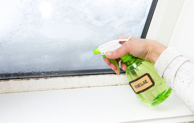 mold-resistant