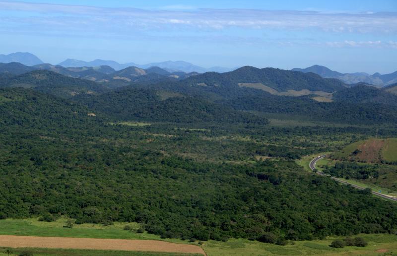 A view of the Poço das Antas Biological Reserve. A green forest with a road to the right and mountains behind. 