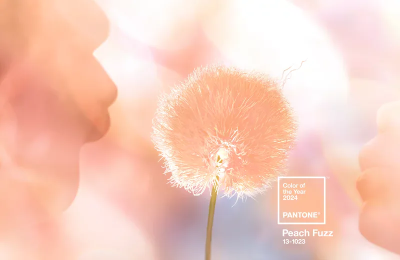 1 1 Pantone Color of the Year 2024: A Tone that Highlights our Desire for Compassion and Well-being Pantone Color of the Year 2024: A Tone that Highlights our Desire for Compassion and Well-being 1