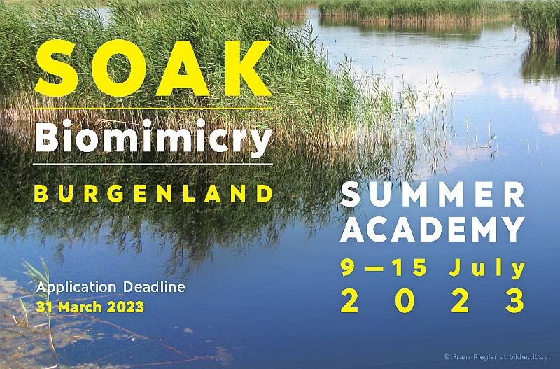 SOAK Biomimicry Sommer Akademie im Burgenland