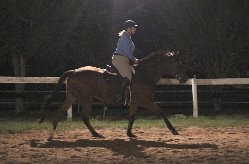 22174034964_cacf6b66fc_c