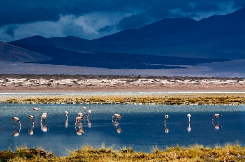 Laguna Purulla