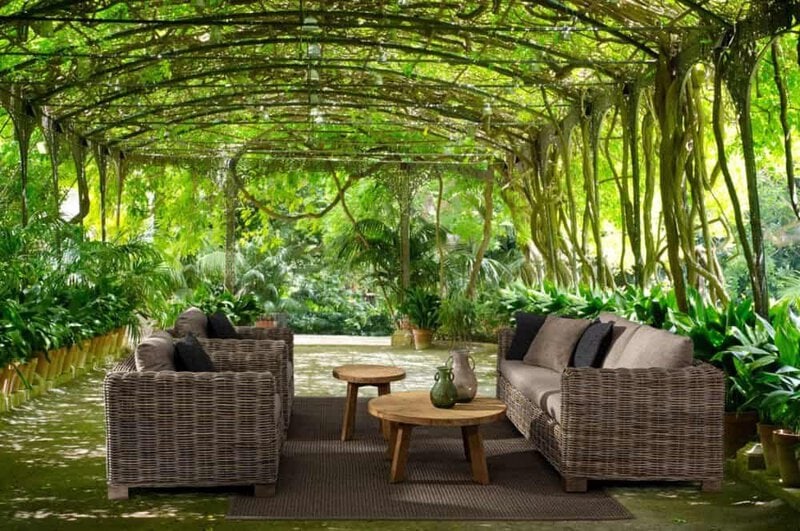 Oasi di relax in giardino con divani in rattan e atmosfera naturale verdeggiante.
