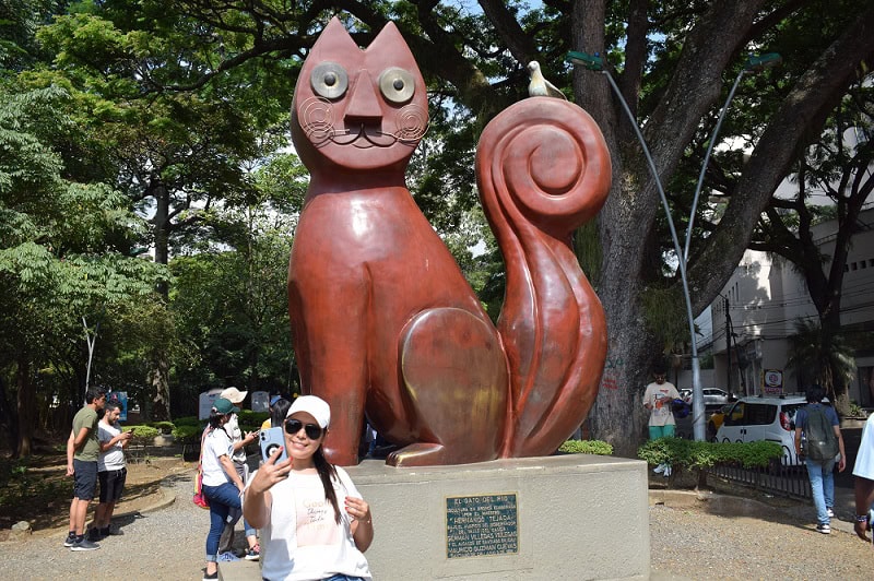 parque del gato y sus alrededores