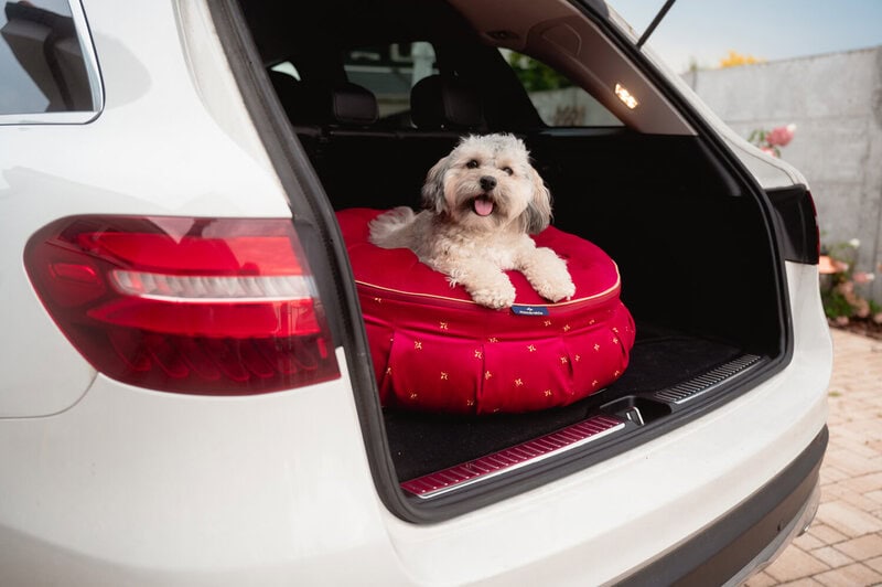 Ring pet bed, pet bed, dog bed, dog donut