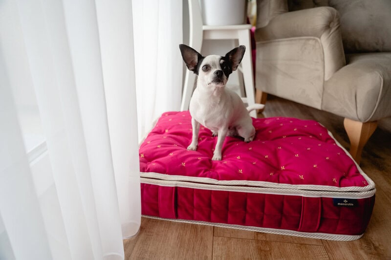 Windsor Mattress - Ruby, pet bed, dog bed