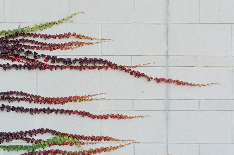 Reasons Your Project Scope Creep Might Be Your Fault