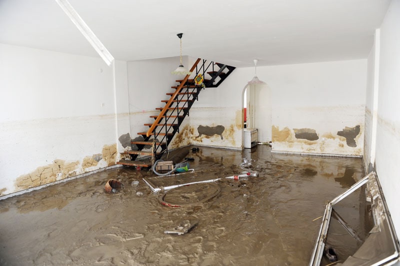 mold after water damage