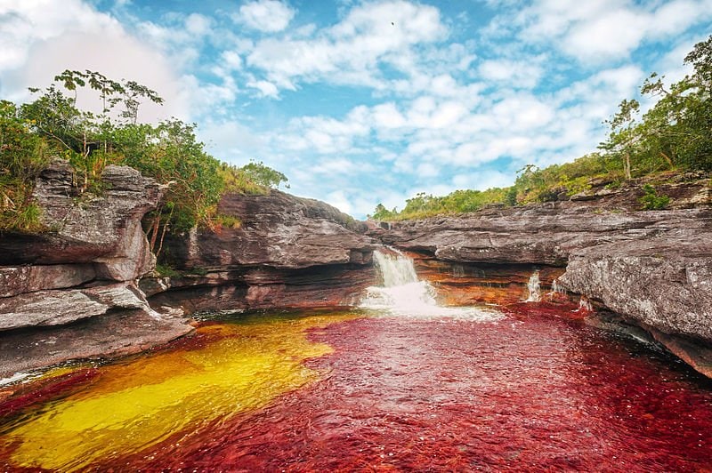 Cano Cristales - Kolumbien