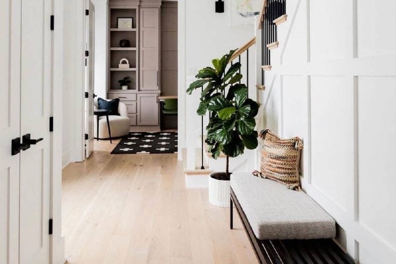 Bright, airy entryway with minimalist design and indoor plant accents.