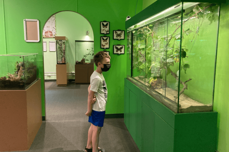 Victoria Bug Zoo: A Unique Experience For Insect-Loving Kids And Adults