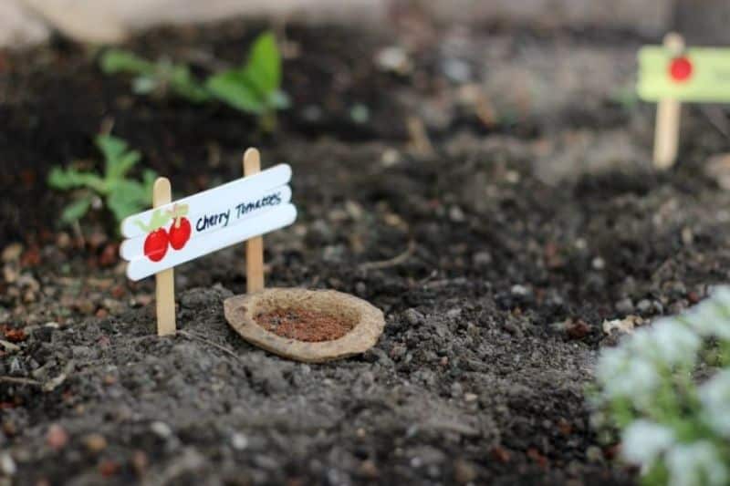 popsicle stick garden markers