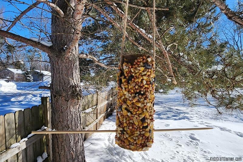 peanut butter bird feeder