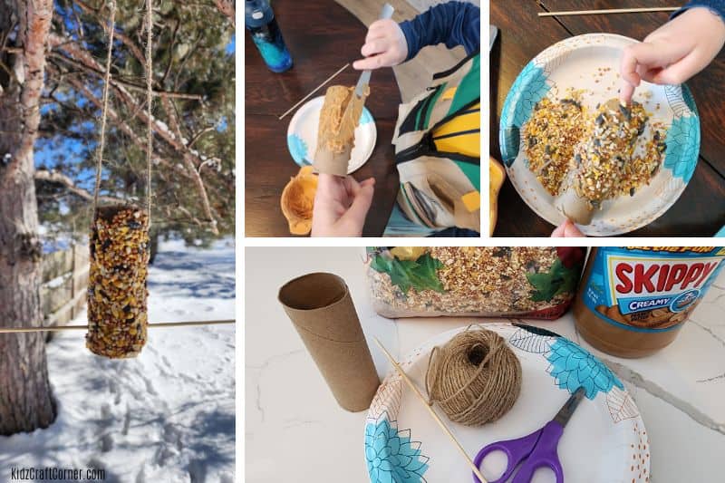 toilet roll bird feeder