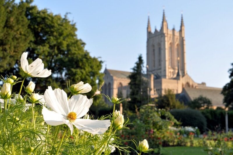 Weiße Blumen in einem grünen Garten mit einer historischen Kathedrale im Hintergrund.