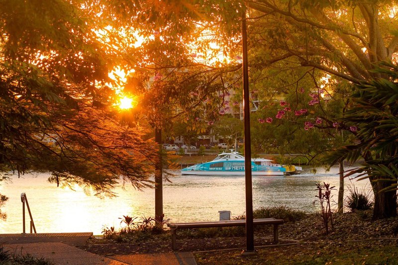 Sonnenuntergang am Brisbane River mit Blick auf eine Fähre und umrahmt von blühenden Bäumen.