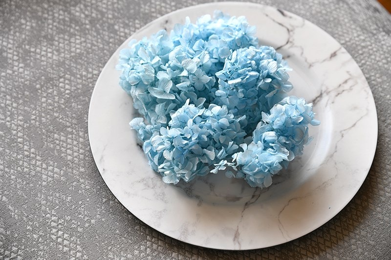 紫陽花誕生日パーティー