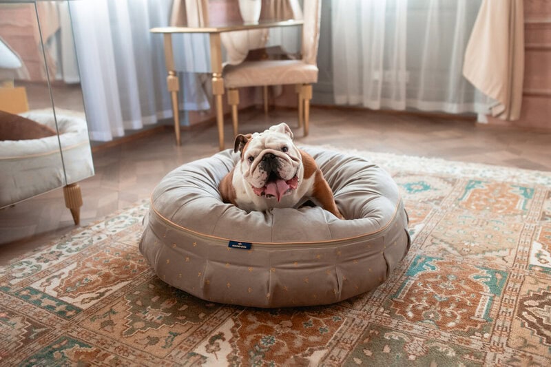 Hampton Ring – Sandstone, pet bed, dog bed, dog donut