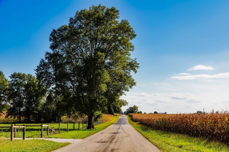 Rural PA