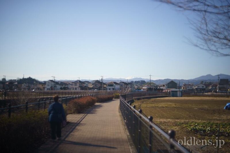 Leitz summar 5cm f2 ライカ ズマール 50mm f2 作例画像 エモい写真 風景 自然