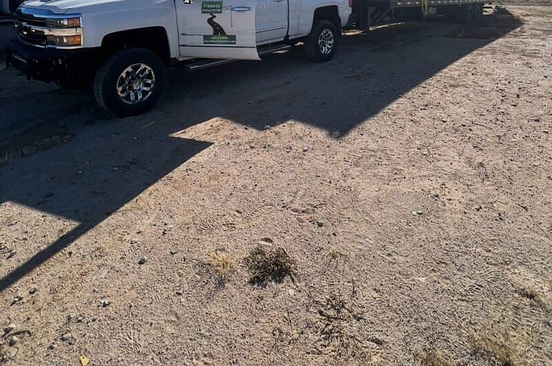 Freeway Towing & Storage gooseneck tow truck transporting shipping container in Phoenix AZ