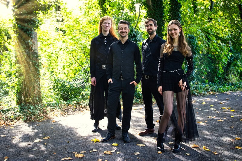 Bild der Band Vogelsang