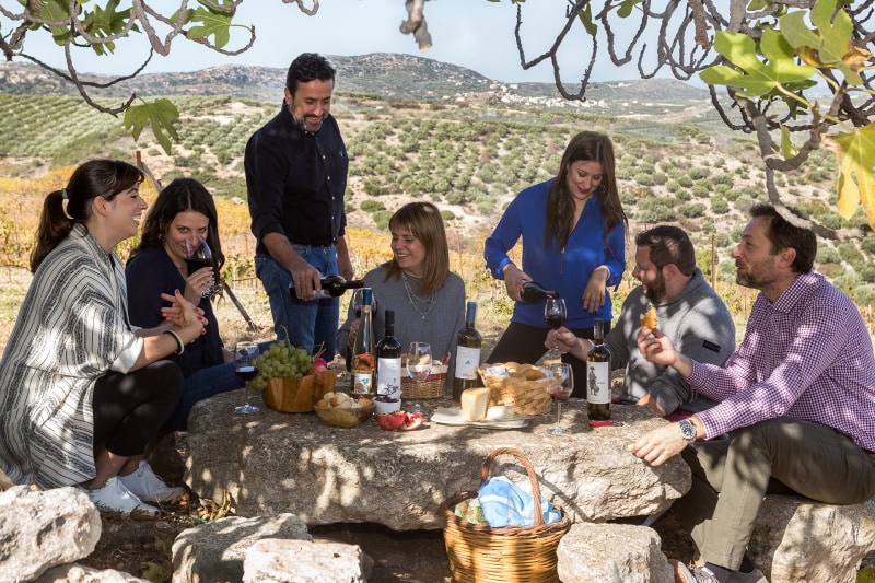 Tasting in the vineyard - there is nothing better we think?