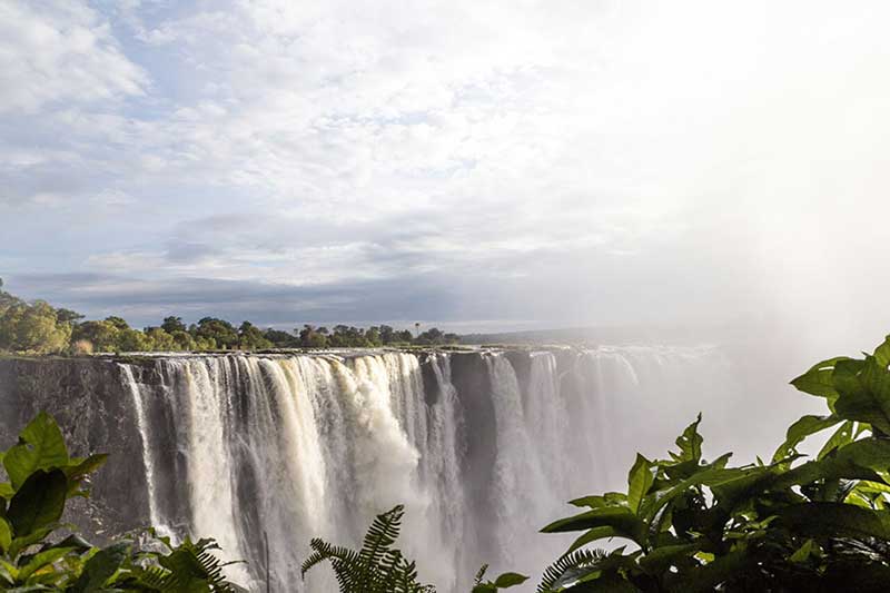 victoria falls imbabala 6