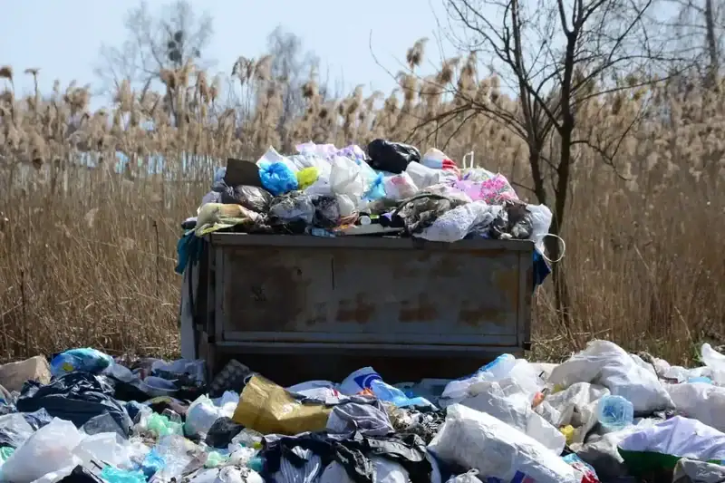 Environmental-Effects-of-Overloading-Dumpsters