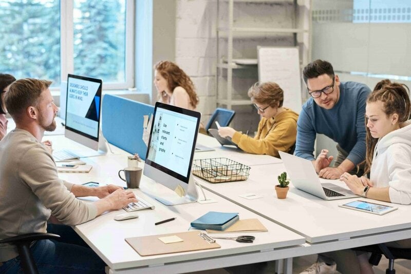 SEO Experts