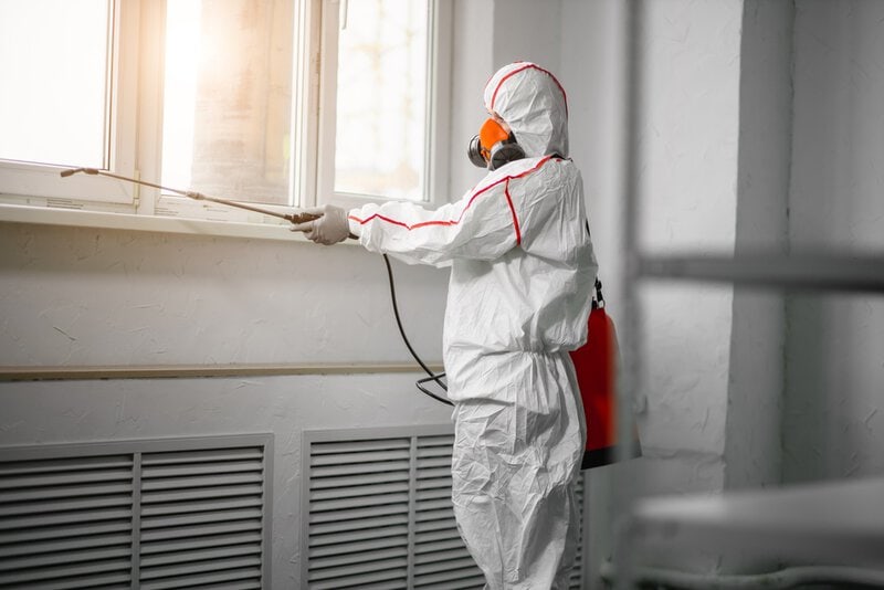 Mold removal in Vancouver, WA