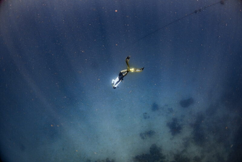 กลั้นหายใจ freediving 