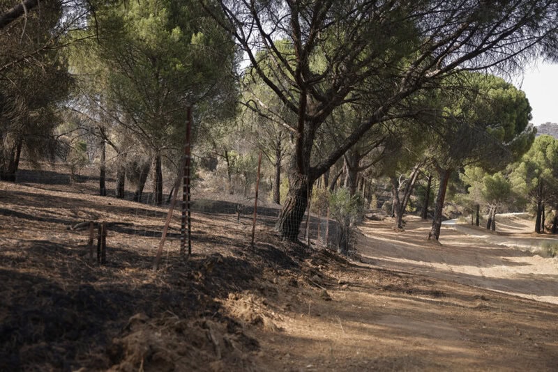 Equipos retirando escombros tras incendios en Madrid capital