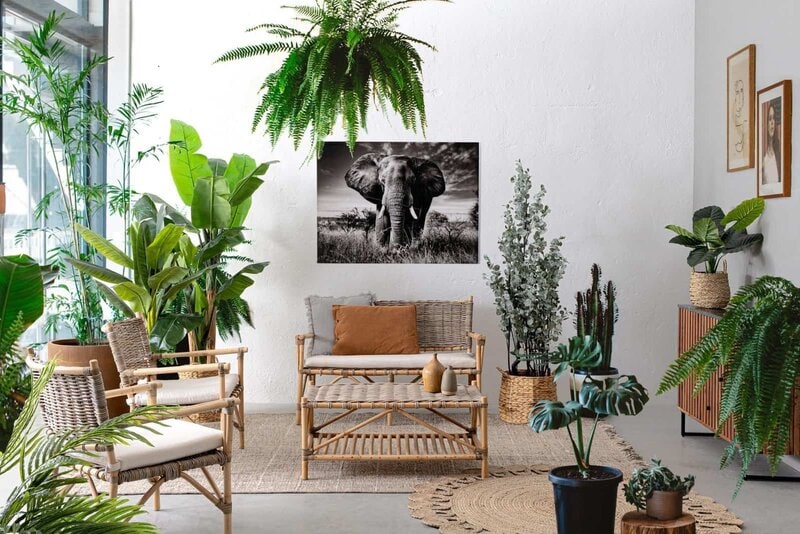 Giardino verticale decorativo con piante tropicali.